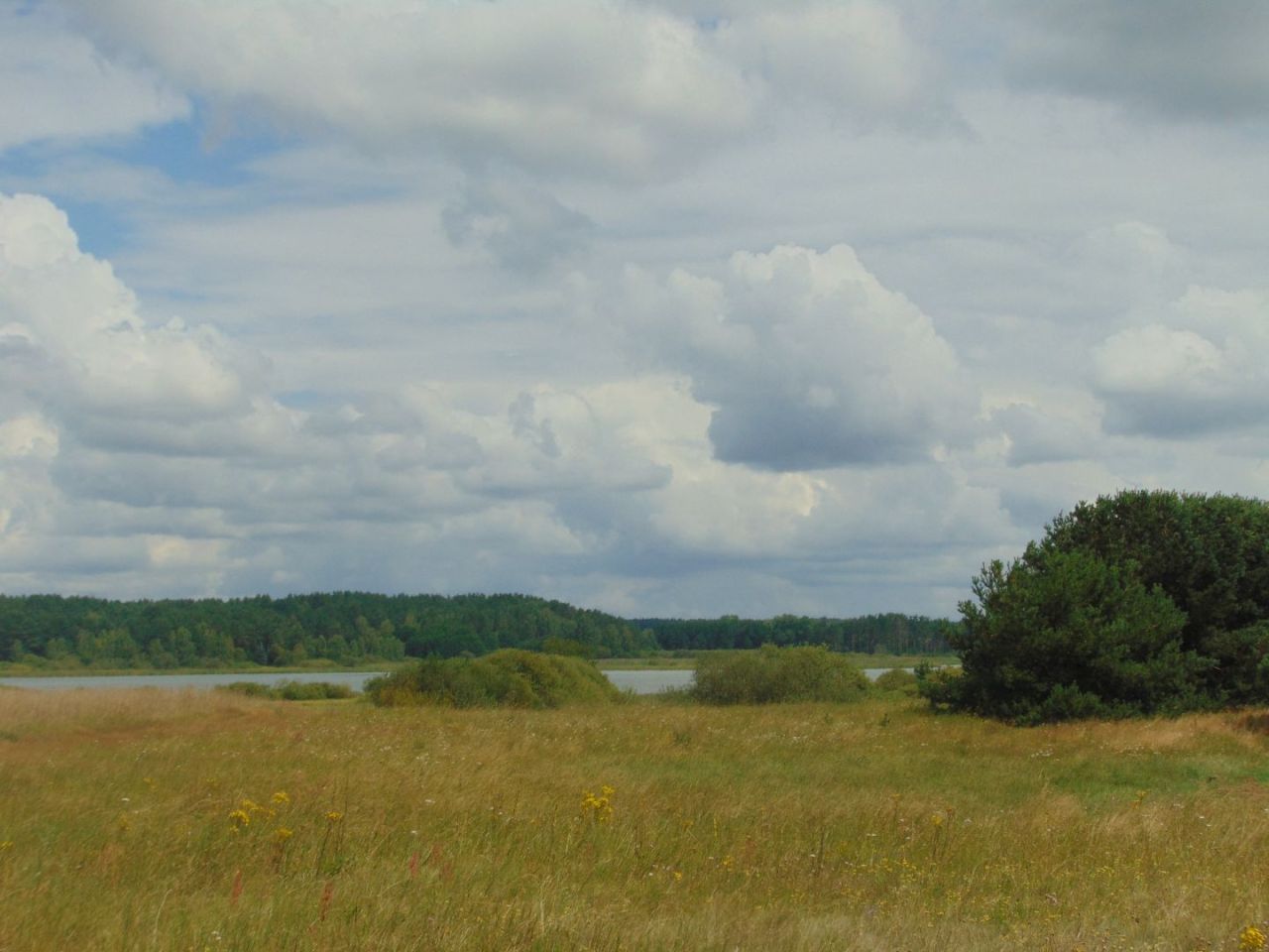 Działka z linią brzegową jeziora Krąg Konarzyny gmina Stara Kiszewa: zdjęcie 94582967