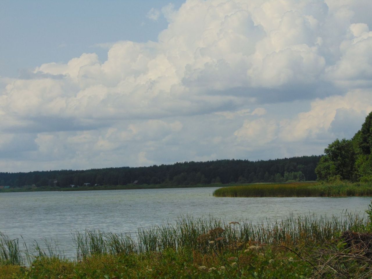 Działka z linią brzegową jeziora Krąg Konarzyny gmina Stara Kiszewa: zdjęcie 94582969