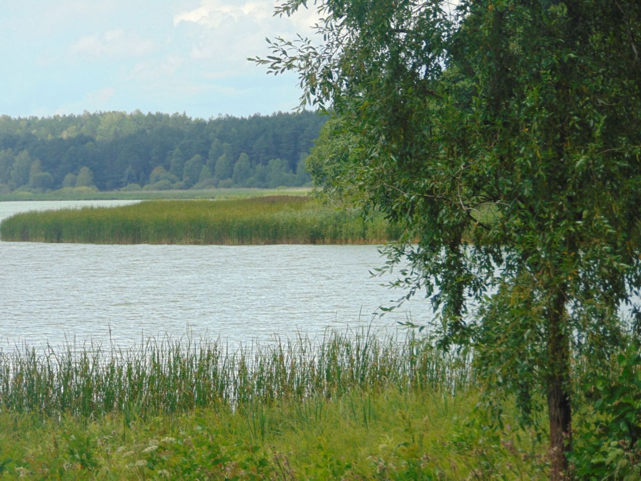 Działka z linią brzegową jeziora Krąg Konarzyny gmina Stara Kiszewa: zdjęcie 94582971