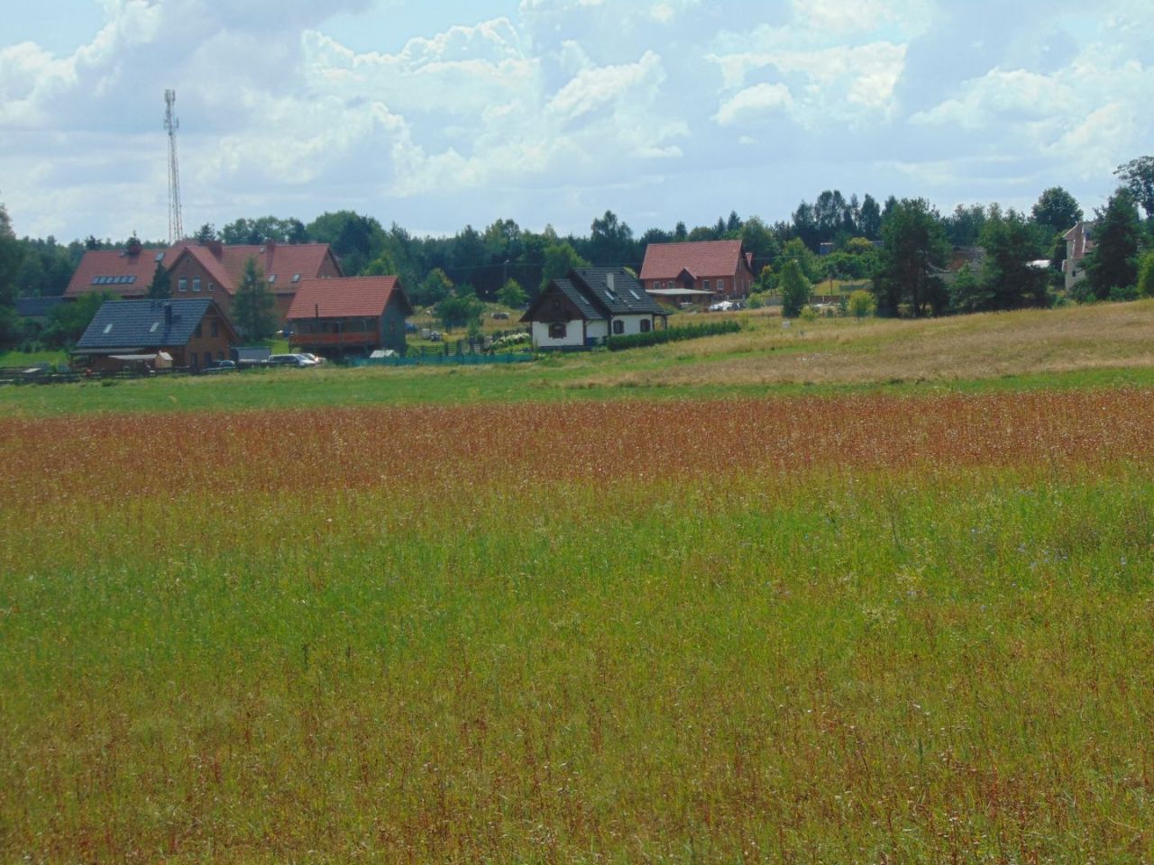 Działka z linią brzegową jeziora Krąg Konarzyny gmina Stara Kiszewa: zdjęcie 94582977