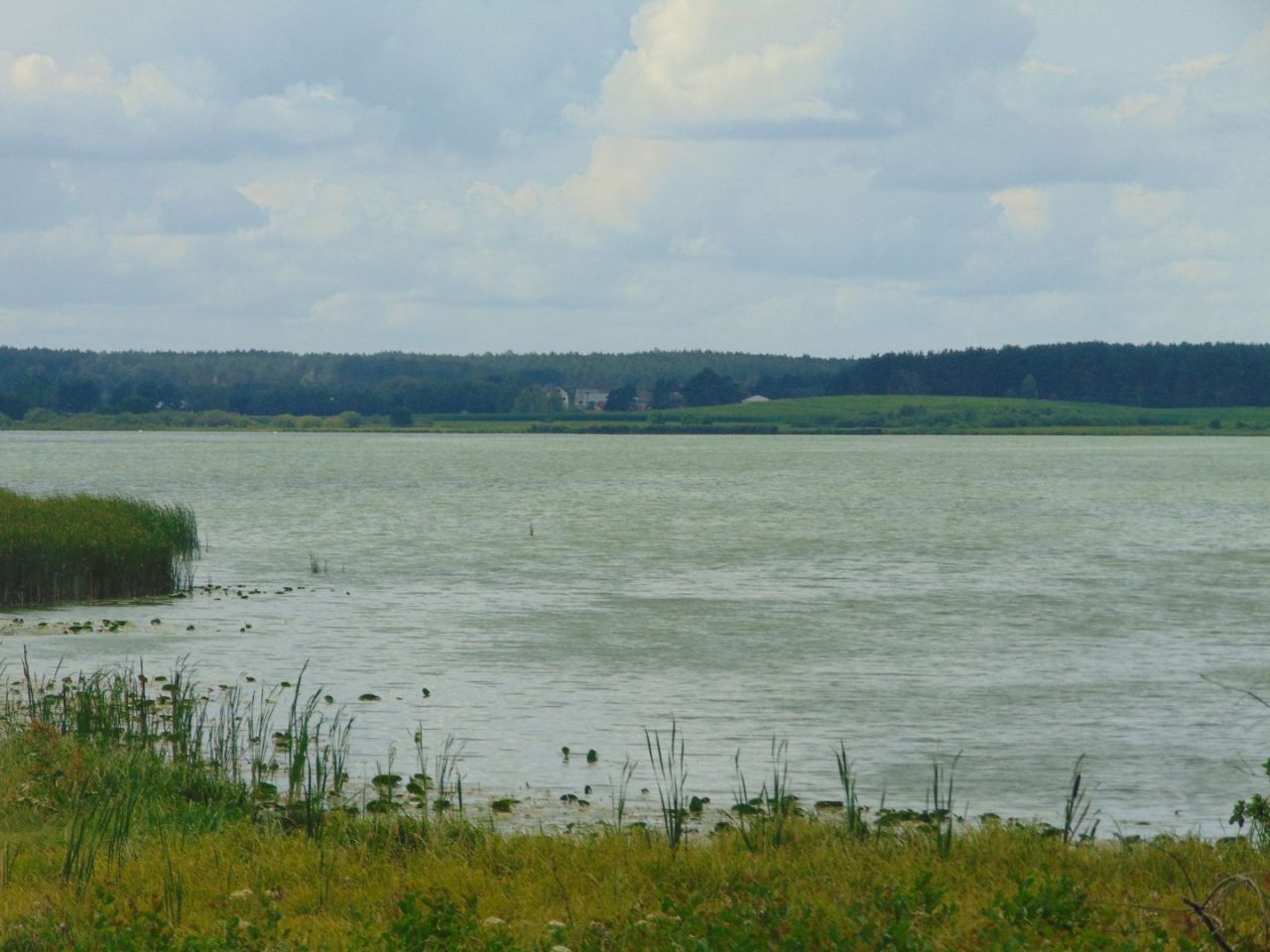 Działka z linią brzegową jeziora Krąg Konarzyny gmina Stara Kiszewa: zdjęcie 94582999