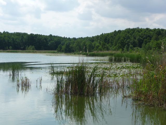 działka blisko jeziora. Chojnice: zdjęcie 94638099