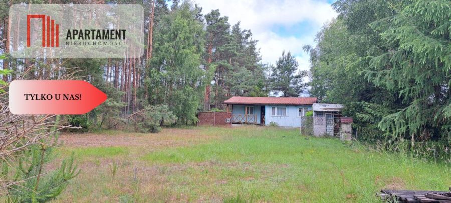 Tylko u nas! Domek, las, jezioro, spokój i cisza: zdjecie 99156028