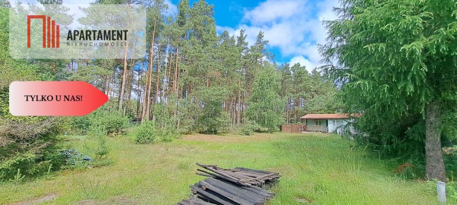 Tylko u nas! Domek, las, jezioro, spokój i cisza: zdjecie 99156031