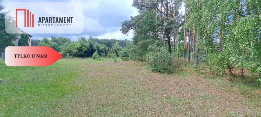 Tylko u nas! Domek, las, jezioro, spokój i cisza: zdjecie 99156032