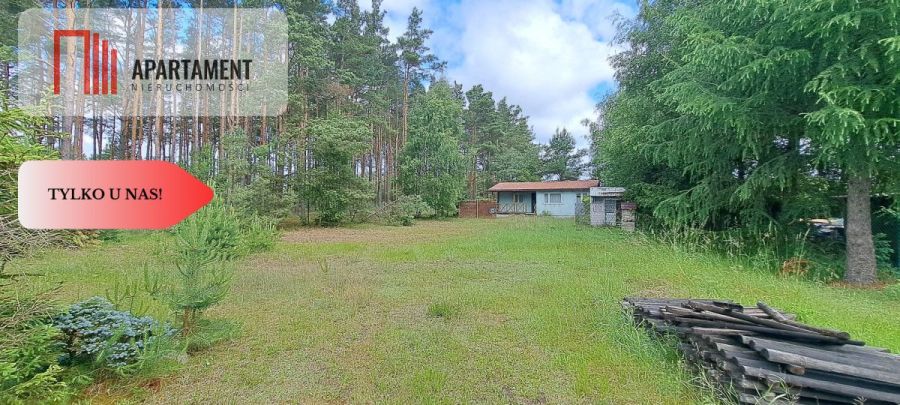 Tylko u nas! Domek, las, jezioro, spokój i cisza: zdjecie 99156033