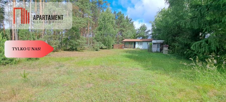 Tylko u nas! Domek, las, jezioro, spokój i cisza: zdjecie 99156020