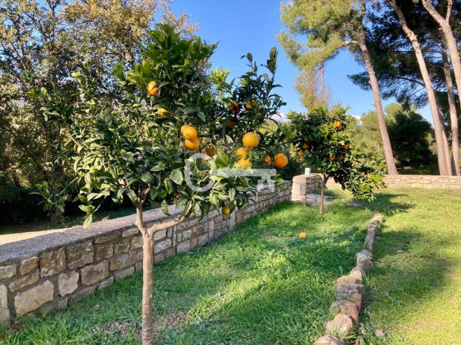 Wolnostojąca willa | Włochy, Liguria: zdjecie 95710885
