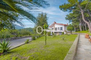 Wolnostojąca willa | Włochy, Liguria: zdjecie 65971841