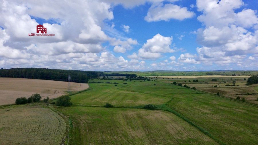 Prywatna enklawa natury i możliwości: zdjecie 96818010