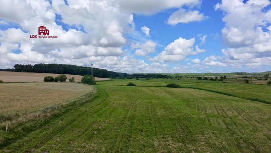 Prywatna enklawa natury i możliwości: zdjecie 96818011