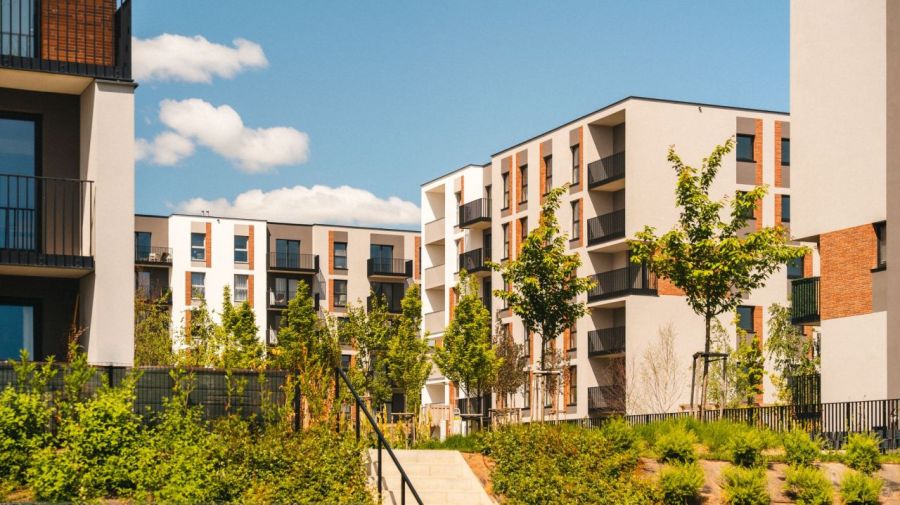 Nowe Południe 10.B.02 – 2 pokoje, 35,39 m&sup2;, z wydzieloną sypialnią i dużym ogródkiem: zdjecie 98935038