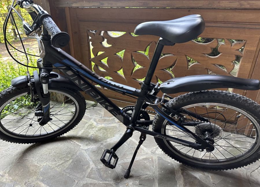 Rower Unibike Pilot: zdjecie 96371640