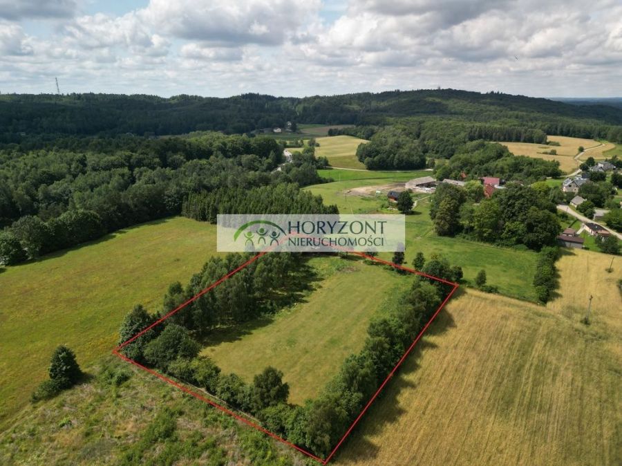 Somonino Rybaki działka 7500 m2: zdjęcie 96801005