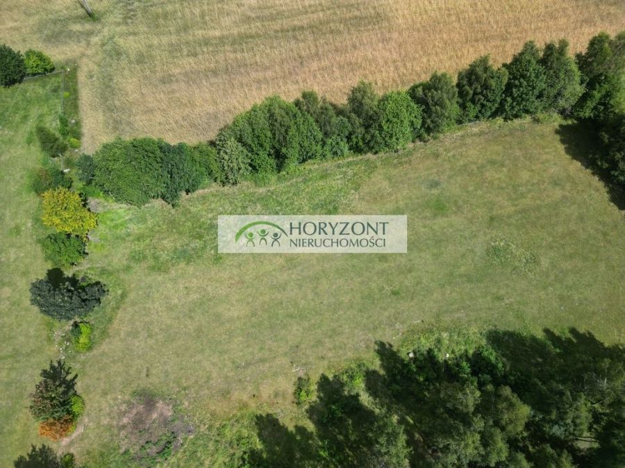 Somonino Rybaki działka 7500 m2: zdjęcie 96800615