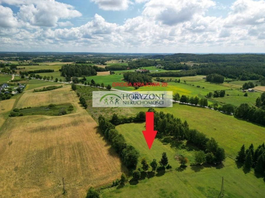 Somonino Rybaki działka 7500 m2: zdjęcie 96800617