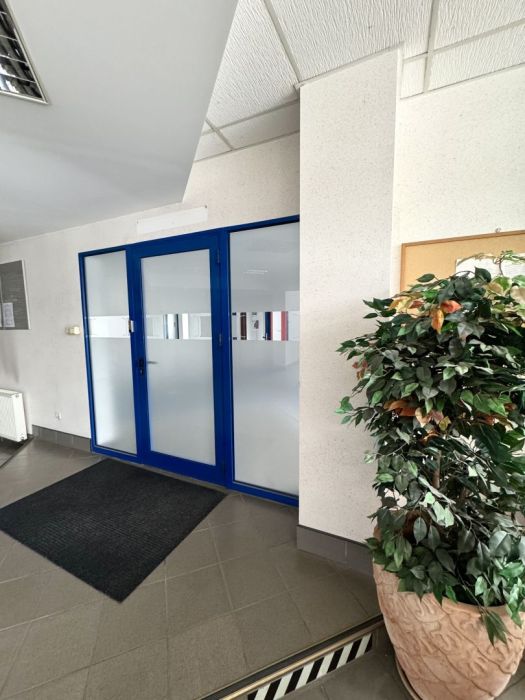 Lokal biurowy   Kokoszki: zdjecie 96725086