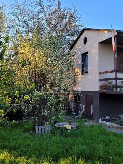 Sprzedaż zadbanej działki ROD z domkiem: zdjęcie 96741238