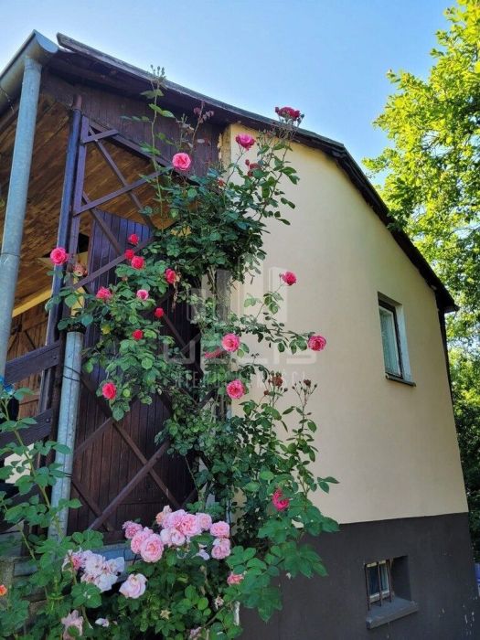 Sprzedaż zadbanej działki ROD z domkiem: zdjęcie 96741239