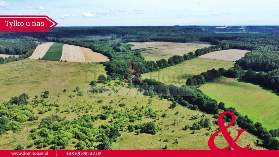 Sarbsk! Duża działka przy strumyku: zdjecie 97216815