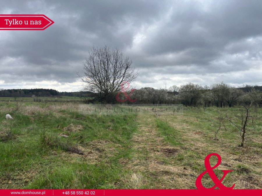 Duża działka z fragmentem pod zabudowę Sarbsk: zdjecie 96881065