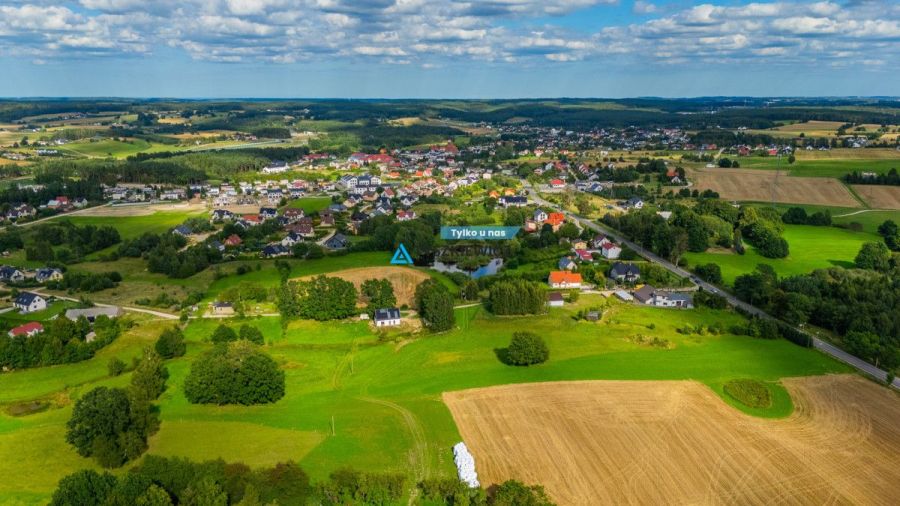 Działka w Szemudzie produkcyjno-usługowa!: zdjęcie 98719272