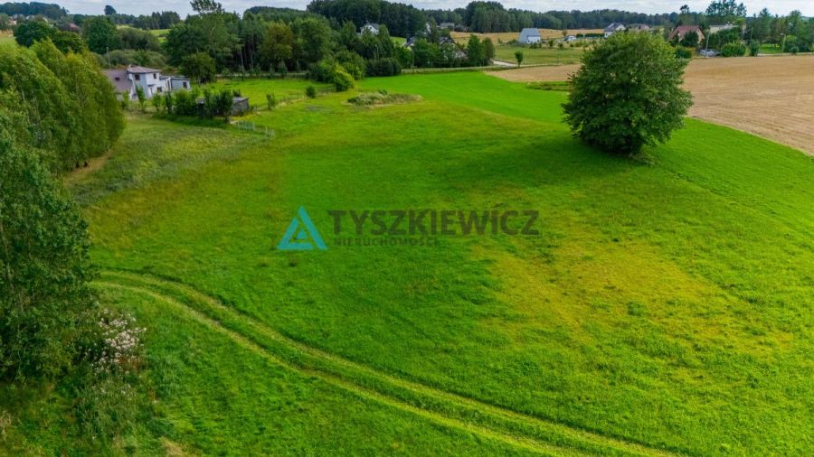 Działka w Szemudzie produkcyjno-usługowa!: zdjęcie 96960424