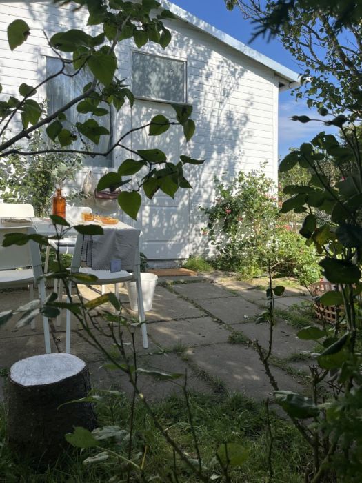 Atrakcyjna i urokliwa działka ROD z domkiem: zdjęcie 97252954