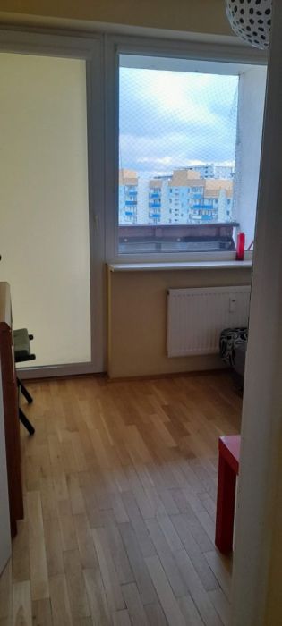 Mieszkanie do wynajęcia na Zaspie do czerwca 2027: zdjecie 97206131