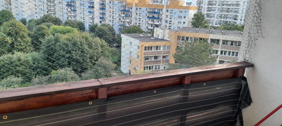 Mieszkanie do wynajęcia na Zaspie do czerwca 2027: zdjecie 97206134