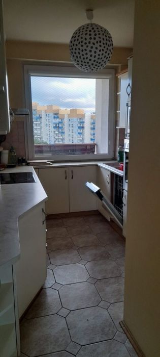 Mieszkanie do wynajęcia na Zaspie do czerwca 2027: zdjecie 97206139