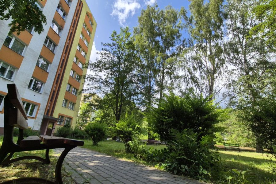 Przytulna kawalerka blisko centrum i lasu: zdjecie 97208357