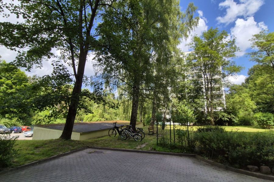 Przytulna kawalerka blisko centrum i lasu: zdjecie 97208358