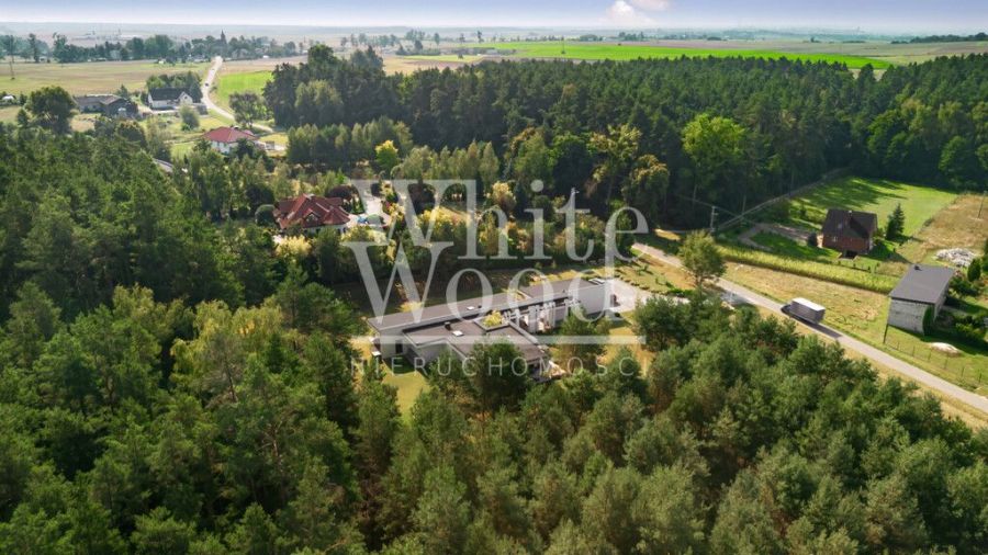 Parterowy dom przy lesie sosnowym, działka 4831m2: zdjecie 98429303