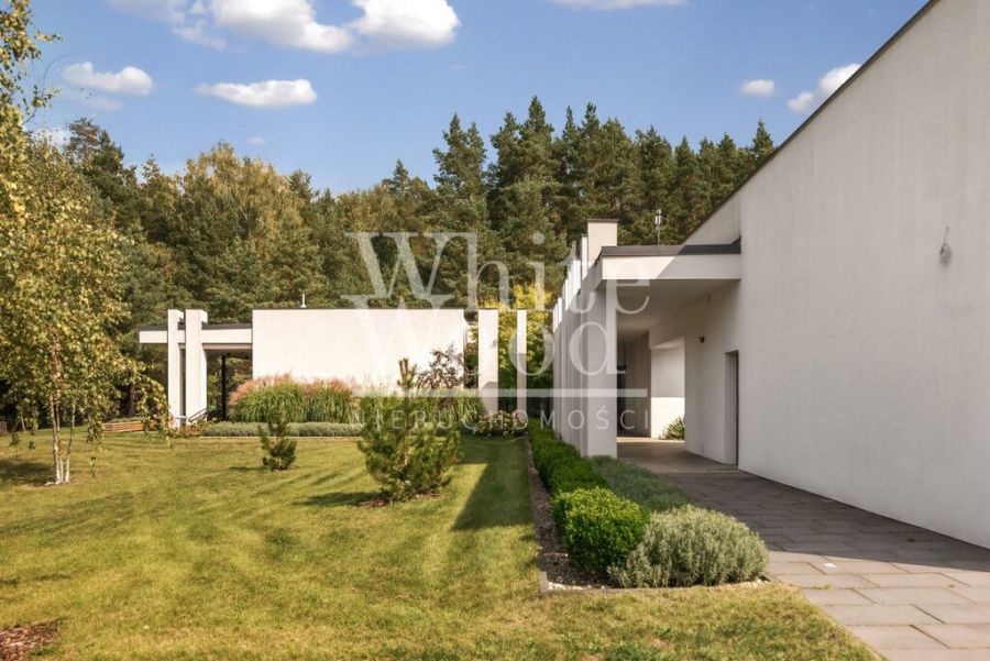 Parterowy dom przy lesie sosnowym, działka 4831m2: zdjecie 98429289