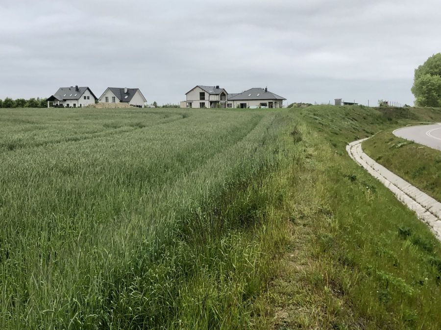 5 ha okolice Gdyni sprzedam zabudowa jednorodzinna: zdjecie 97667559