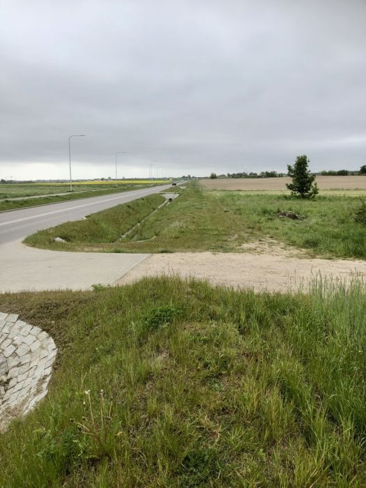 5 ha okolice Gdyni sprzedam zabudowa jednorodzinna: zdjecie 97667560