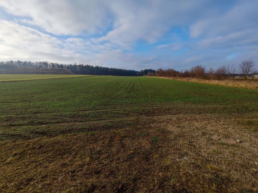 5 ha okolice Gdyni sprzedam zabudowa jednorodzinna: zdjecie 97722807
