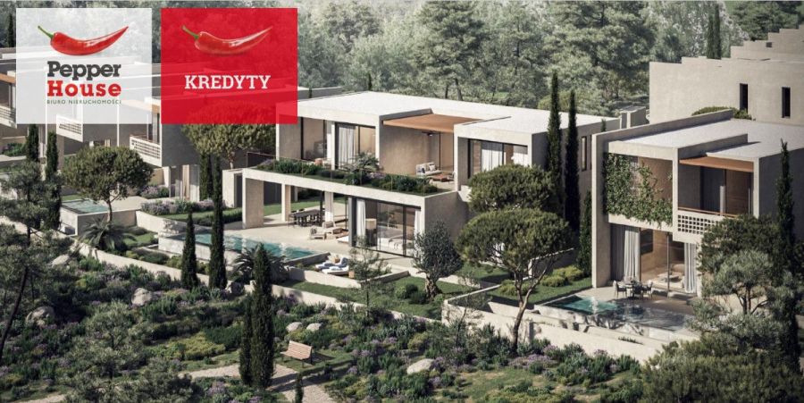 cypr pafos! konia green: zdjecie 97682536