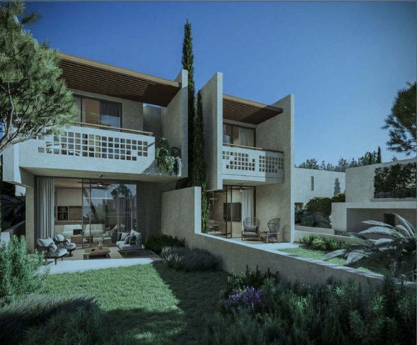 cypr pafos! konia green: zdjecie 97682538