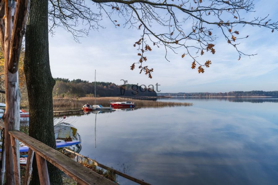 Wycinki | 32000m2 | Inwestycja | Bory Tucholskie: zdjecie 98827126
