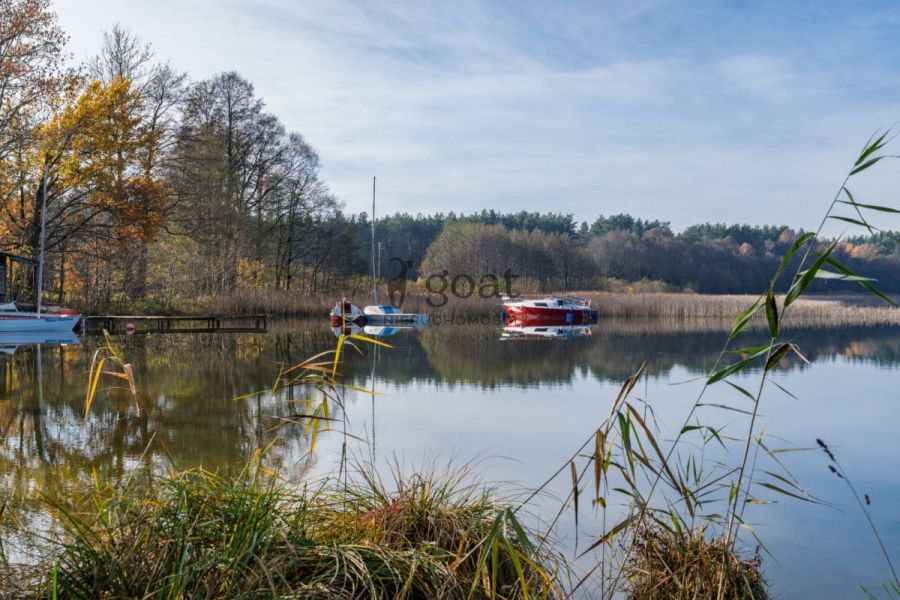 Wycinki | 32000m2 | Inwestycja | Bory Tucholskie: zdjecie 98827127