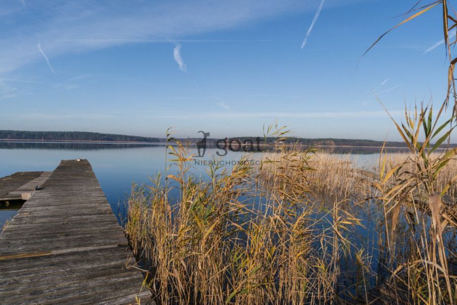 Wycinki | 32000m2 | Inwestycja | Bory Tucholskie: zdjecie 98827128