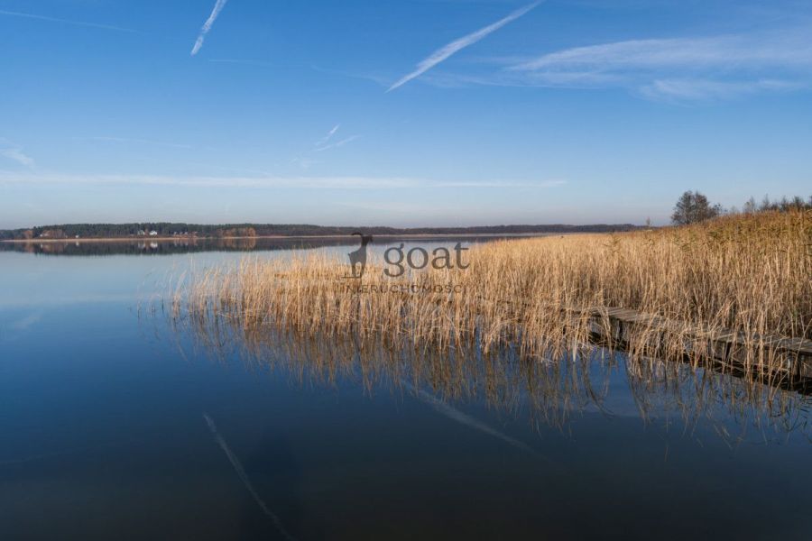 Wycinki | 32000m2 | Inwestycja | Bory Tucholskie: zdjecie 98827129