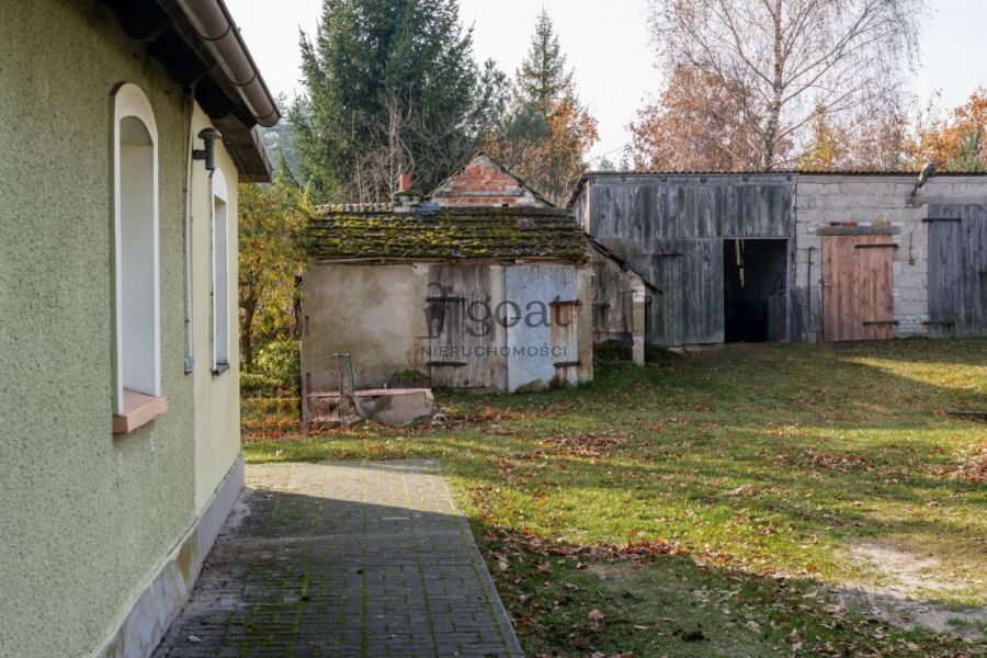 Wycinki | 32000m2 | Inwestycja | Bory Tucholskie: zdjecie 98827135
