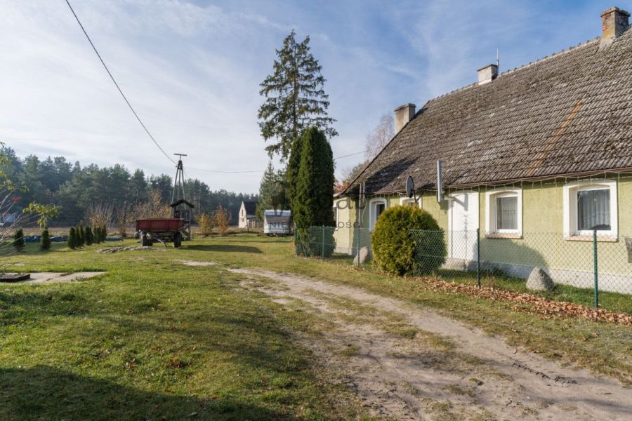 Wycinki | 32000m2 | Inwestycja | Bory Tucholskie: zdjecie 98827122