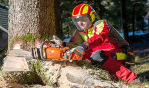 Kurs Pilarza obsługa pilarek mechanicznych: zdjecie 66308848