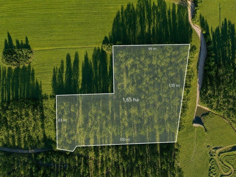 działka leśna – Czarna Dąbrówka, Rokity: zdjecie 99393890