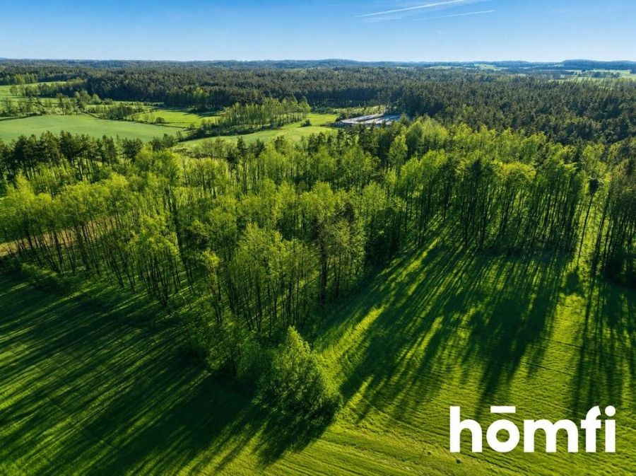 działka leśna – Czarna Dąbrówka, Rokity: zdjecie 99393892
