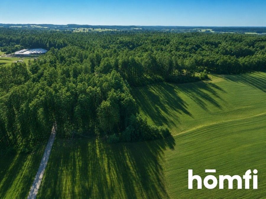 działka leśna – Czarna Dąbrówka, Rokity: zdjecie 99393893
